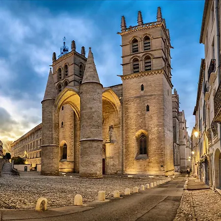 Cosy Boheme En Centre-ville - Wi-fi & Tv דירה