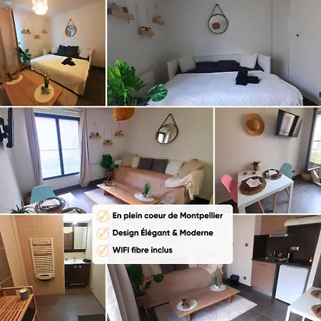 Cosy Boheme Au Coeur De Apartment Montpellier